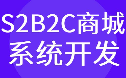 广州s2b2c商城系统开发 电商软件平台定制 红匣子科技