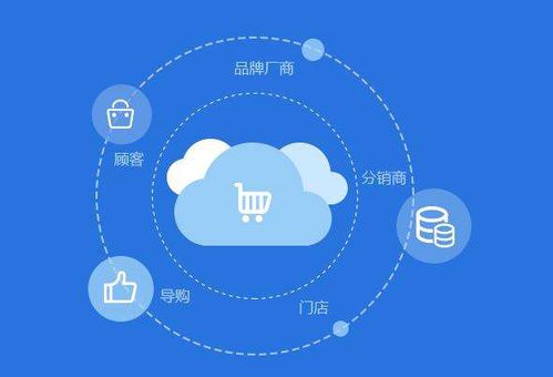 b2b2c商城系统与b2c商城系统有什么区别呢 企业该如何选择