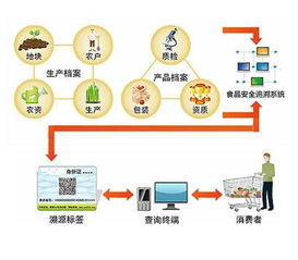 二维码的妙用 食品溯源全面打造 舌尖上的安全